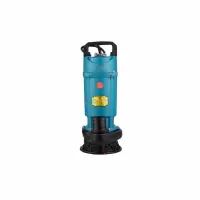 抽水泵 0.75KW 家用潜水泵大流量.