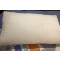 佳丽斯防螨抗菌丝绒枕头枕芯超柔枕护颈枕头