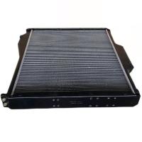 TRW 陕汽SX1254 水箱总成