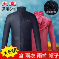 天堂双层雨衣雨裤套装夜光条电动车摩托电瓶车男女成人防暴雨骑车