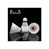 及至 羽毛球12只装(筒)