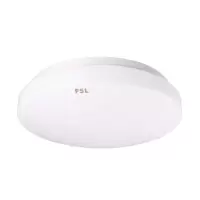 LED吸顶灯 白 25W