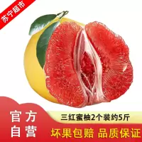 现摘福建三红柚 2个装带箱5斤 新鲜柚子 应季水果自营水果