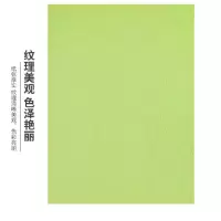 凤尾纹路彩色封面色卡纸(绿色)