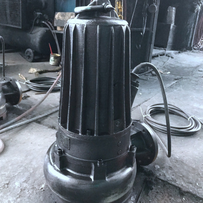 蓝深 WQD7-15-1.1潜水污水泵 额定功率约1.1KW 含电源线 电压220V 含水带、卡箍、接扣等配件(一套装)