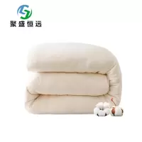 聚盛恒远新疆棉被春秋被 100%新疆精梳全棉花被棉絮四季棉花胎垫被