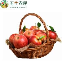 [五个农民]云南昭通乌蒙山冰糖心红露苹果5斤装