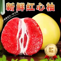 [西沛生鲜]新鲜平和红心柚 净重1.5斤 1个 小果 新鲜柚子水果 蜜柚 甜蜜多汁