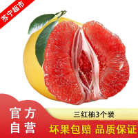 现摘福建三红柚 3个装带箱5斤 新鲜柚子 应季水果自营水果