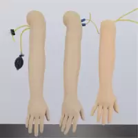 林特捷玛 模拟输液手臂(单位:副)