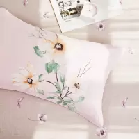 愉悦之家 48*74cm*1 枕套 罗兰花开 枕套 罗兰花开 床上用品