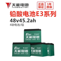 天能 铅酸蓄电池