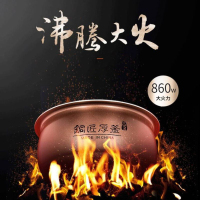 九阳电饭煲4L F40FY-F311