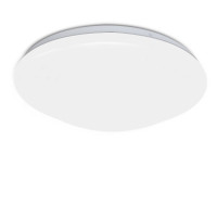 吸顶/灯罩一套（25公分底座加罩子）