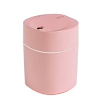 企业专享 拾乐 迷你桌面加湿器 起订量 100