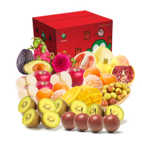 百果园公司 其乐融融水果礼包(约8500g)