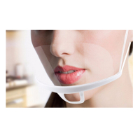 ZDET 厨房口罩(个)