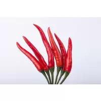 小米椒500g（精品）-05