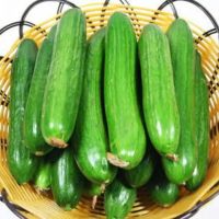 小黄瓜500g(精品)-05
