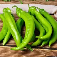 青椒500g（精品）-05