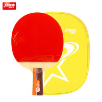 乒乓球拍(单拍装) 成品球拍乒乓球拍训练竞技用球拍