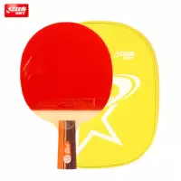 乒乓球拍(单拍装) 成品球拍乒乓球拍训练竞技用球拍