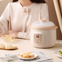 小浣熊D10塑料蒸笼燕窝款 电炖锅煲汤锅陶瓷家用隔水炖早餐煮粥神器养生锅小燕窝炖盅