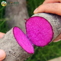 [五个农民]江西赣州紫山药5斤装紫淮山药粉糯嫩滑