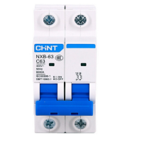 正泰(CHNT)NXB-63 2P C63 小型断路器 空气开关 过载空气开关