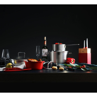 双立人(ZWILLING) ZW-C137 双立人食尚厨房十件套装