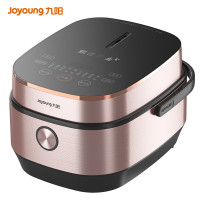九阳(Joyoung) 电饭煲家用智能电饭锅预约加热电饭煲 F-40FY5 4L