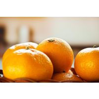 桔子(阿里0524)