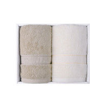 金号素羽毛巾两条装ZL2106