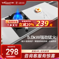 万和(Vanward)一级能效 5.0kW燃气灶液化气灶具单眼灶 台式灶具嵌入式灶两用 燃气炉具自营 JZY-E6L90