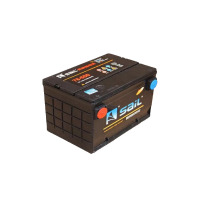 东风EQ2050猛士蓄电池