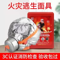 火焰战士 防毒 面具 TZL30