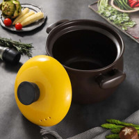 栢士德(BYSTON)莱顿高汤锅BST-ZC1014 锂辉石+陶