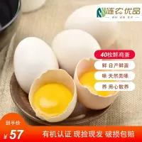 [江苏乡村振兴][财政集采][涟水]涟水益农优品 无抗鸡蛋 40枚