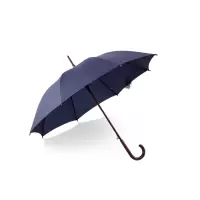 天堂直柄雨伞(藏青色)半径60cm/118