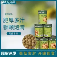 [江苏乡村振兴][财政集采][涟水]涟水益农优品 蘑菇罐头 400g/罐