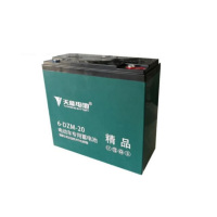 天能 6-DZM-20 电动车电瓶 (单块装)-(块)12v