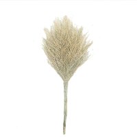 桃李世家 扫把 210—240cm 竹