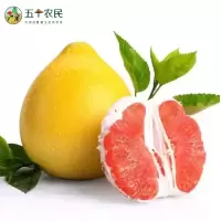 [五个农民]福建平和琯溪蜜柚 自然生长红心柚5斤(2个装)顺丰发货