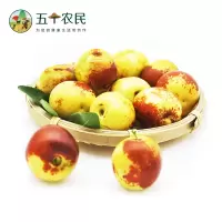 [五个农民]山东沾化冬枣5斤单枚10-16g