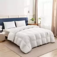 愉悦之家 春秋被 150*200cm 抗菌 混合白鹅绒(条)