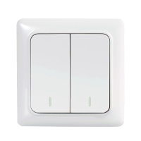 陕纵缆 明装双联开关10A 250VV 单位：个