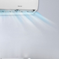 格力空调挂机2P