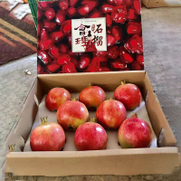 四川会理突尼斯软籽石榴礼盒8枚装大果 应季水果 苏宁自营水果