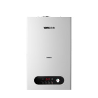 约克(YORK) L1PB24 电热水器 燃气 壁挂炉(G)