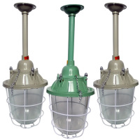 防爆灯 250W防爆灯罩+40WLED